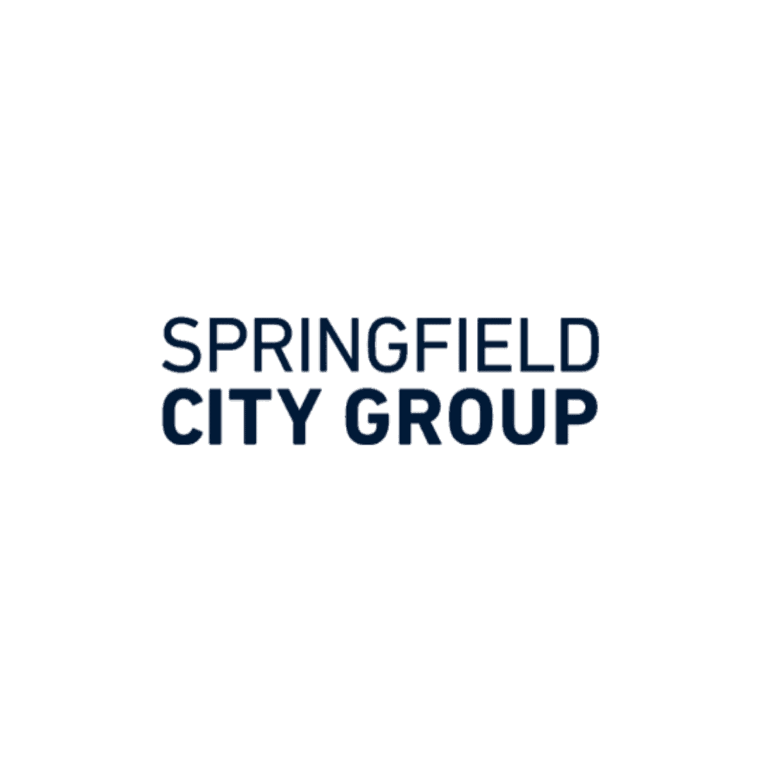 Springfield City Group 2